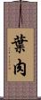 葉肉 Scroll