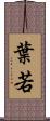 葉若 Scroll
