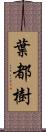 葉都樹 Scroll