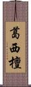 葛西檀 Scroll