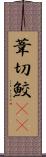 葦切鮫(rK) Scroll