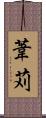 葦苅 Scroll