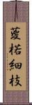葼 Scroll