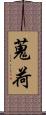 蒐荷 Scroll