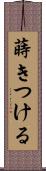 蒔きつける Scroll
