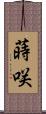 蒔咲 Scroll