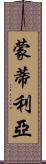 Montilla Scroll