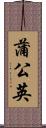蒲公英 Scroll
