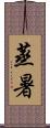 蒸暑 Scroll