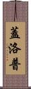 Gallup Scroll