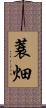 蓑畑 Scroll