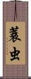 蓑虫 Scroll