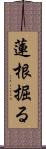 蓮根掘る Scroll