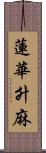 蓮華升麻 Scroll