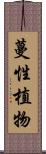 蔓性植物 Scroll