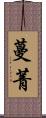 蔓菁 Scroll