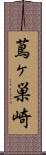蔦ヶ巣崎 Scroll