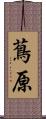 蔦原 Scroll