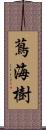 蔦海樹 Scroll