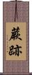蕨跡 Scroll