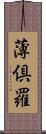 薄倶羅 Scroll