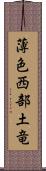 薄色西部土竜 Scroll