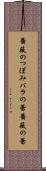 薔薇のつぼみ Scroll