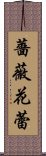 薔薇花蕾 Scroll