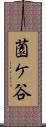 薗ケ谷 Scroll