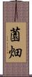 薗畑 Scroll
