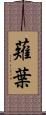 薙葉 Scroll