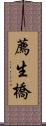 薦生橋 Scroll