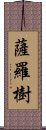 薩羅樹 Scroll