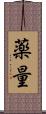 薬量 Scroll