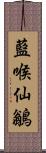 藍喉仙鶲 Scroll