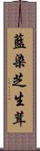 藍染芝生茸 Scroll