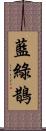 藍綠鵲 Scroll