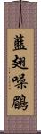 藍翅噪鶥 Scroll