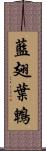 藍翅葉鵯 Scroll