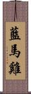 藍馬雞 Scroll