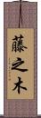 藤之木 Scroll