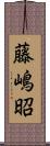 藤嶋昭 Scroll