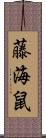 藤海鼠 Scroll