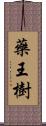 藥王樹 Scroll