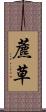 藨草 Scroll