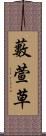 藪萱草 Scroll