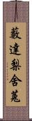 藪達梨舍菟 Scroll