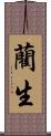 藺生 Scroll