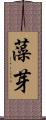藻芽 Scroll