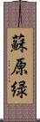 蘇原緑 Scroll